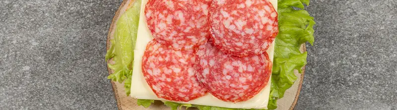 Salame hamburgues fatiado — tipo com influencia alema e defumacao leve